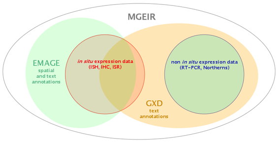 mgeir schematic