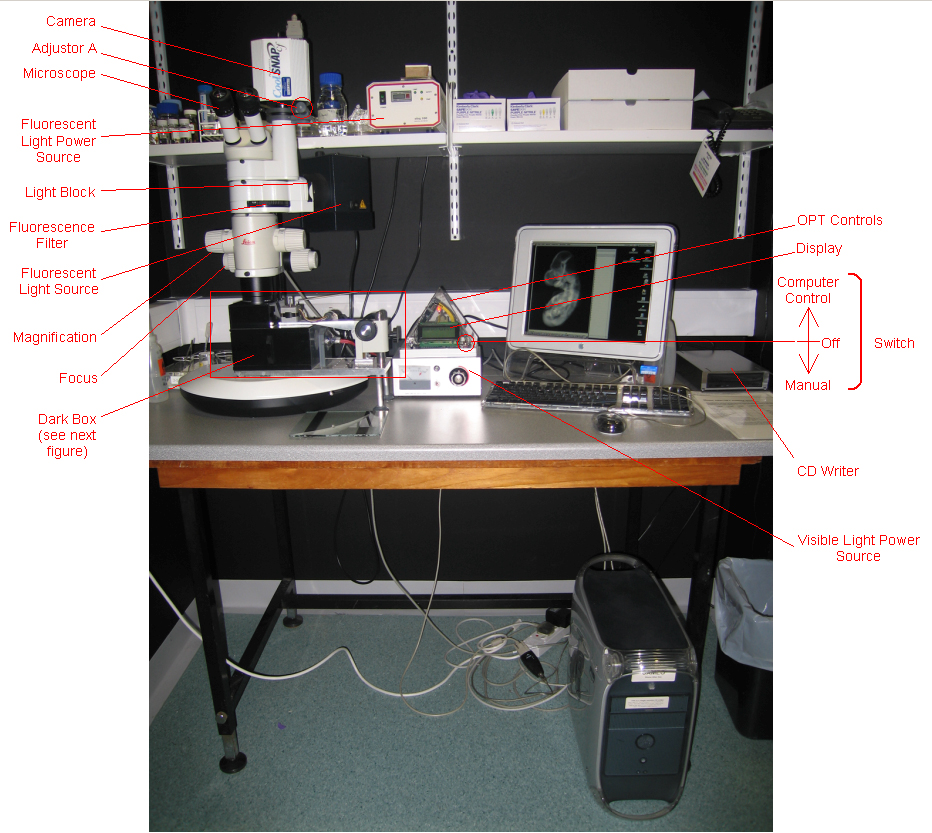 OPT apparatus