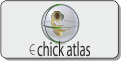 e-Chick Atlas
