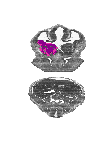 mouse atlas EMAGE spatial in situ gene expression database None
