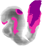 mouse atlas EMAGE spatial in situ gene expression database None