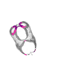 mouse atlas EMAGE spatial in situ gene expression database None