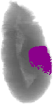 mouse atlas EMAGE spatial in situ gene expression database None