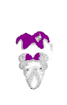 mouse atlas EMAGE spatial in situ gene expression database None