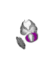 mouse atlas EMAGE spatial in situ gene expression database None