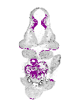 mouse atlas EMAGE spatial in situ gene expression database None