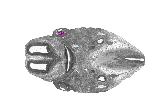 mouse atlas EMAGE spatial in situ gene expression database None