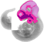 mouse atlas EMAGE spatial in situ gene expression database None