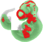 EMAGE:2090