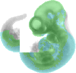 EMAGE:2217