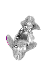 mouse atlas EMAGE spatial in situ gene expression database None
