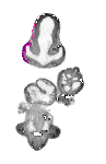 mouse atlas EMAGE spatial in situ gene expression database None