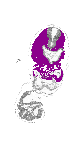 mouse atlas EMAGE spatial in situ gene expression database None