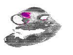 mouse atlas EMAGE spatial in situ gene expression database None