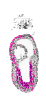 mouse atlas EMAGE spatial in situ gene expression database None
