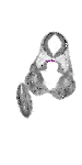 mouse atlas EMAGE spatial in situ gene expression database None