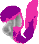 mouse atlas EMAGE spatial in situ gene expression database None