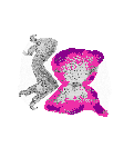 mouse atlas EMAGE spatial in situ gene expression database None
