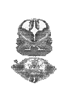 mouse atlas EMAGE spatial in situ gene expression database None