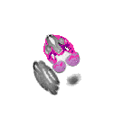 mouse atlas EMAGE spatial in situ gene expression database None