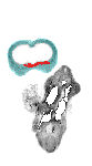 EMAGE:3436