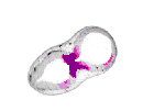 mouse atlas EMAGE spatial in situ gene expression database None