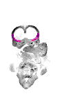 mouse atlas EMAGE spatial in situ gene expression database None