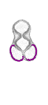 mouse atlas EMAGE spatial in situ gene expression database None