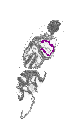 mouse atlas EMAGE spatial in situ gene expression database None