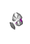mouse atlas EMAGE spatial in situ gene expression database None