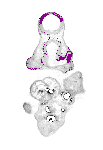 mouse atlas EMAGE spatial in situ gene expression database None