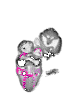mouse atlas EMAGE spatial in situ gene expression database None