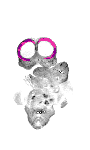 mouse atlas EMAGE spatial in situ gene expression database None