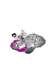 mouse atlas EMAGE spatial in situ gene expression database None