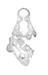 mouse atlas EMAGE spatial in situ gene expression database None