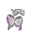 mouse atlas EMAGE spatial in situ gene expression database None