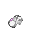 mouse atlas EMAGE spatial in situ gene expression database None