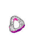 mouse atlas EMAGE spatial in situ gene expression database None