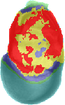 EMAGE:4