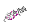 mouse atlas EMAGE spatial in situ gene expression database None