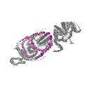 mouse atlas EMAGE spatial in situ gene expression database None