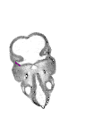 mouse atlas EMAGE spatial in situ gene expression database None