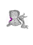 mouse atlas EMAGE spatial in situ gene expression database None