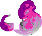 mouse atlas EMAGE spatial in situ gene expression database None