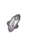 mouse atlas EMAGE spatial in situ gene expression database None
