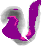mouse atlas EMAGE spatial in situ gene expression database None