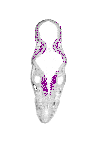 mouse atlas EMAGE spatial in situ gene expression database None
