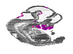 mouse atlas EMAGE spatial in situ gene expression database None