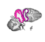 mouse atlas EMAGE spatial in situ gene expression database None
