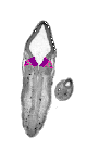 mouse atlas EMAGE spatial in situ gene expression database None